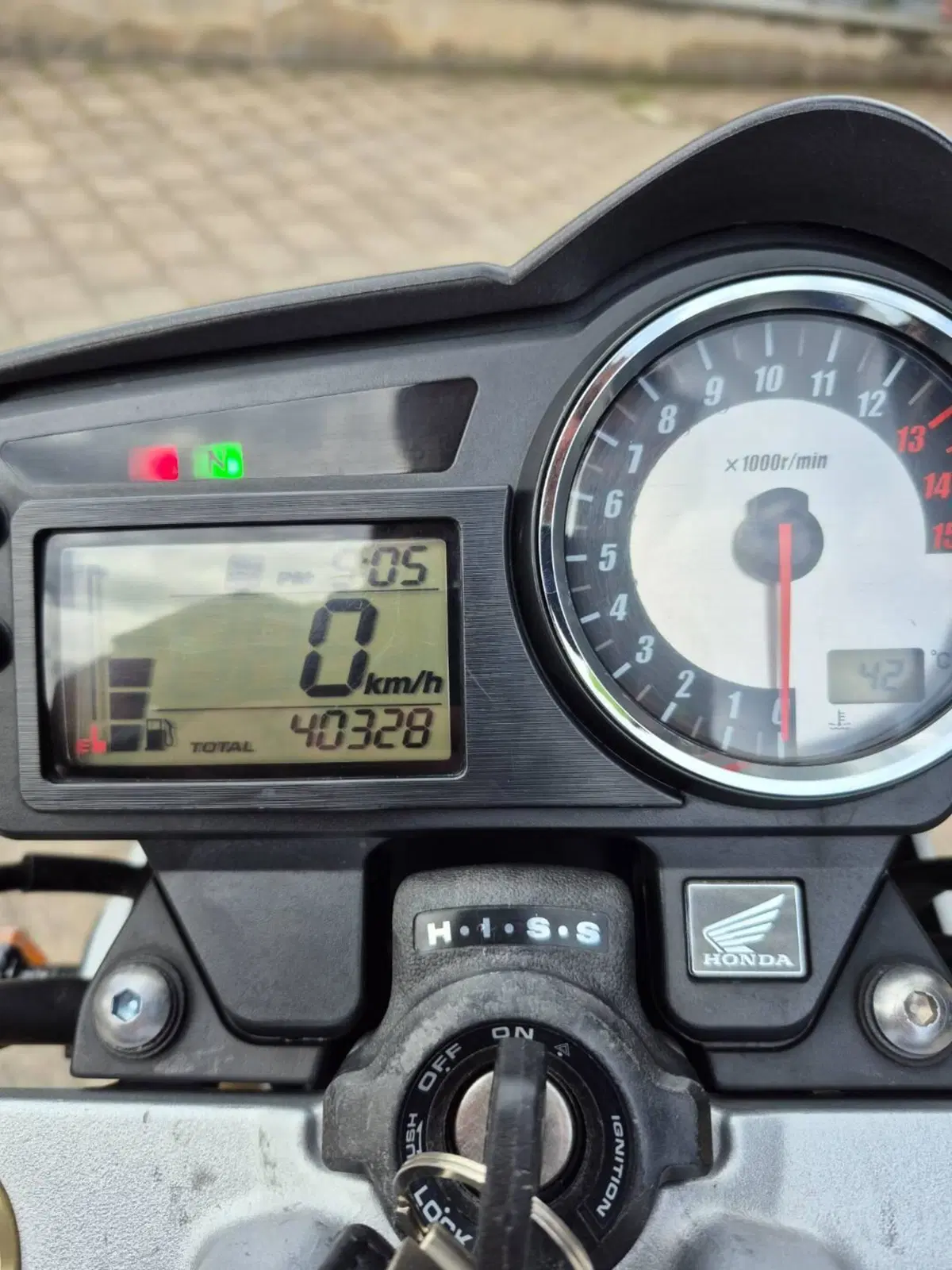 Honda Hornet 600 (2005 - 06) (8)