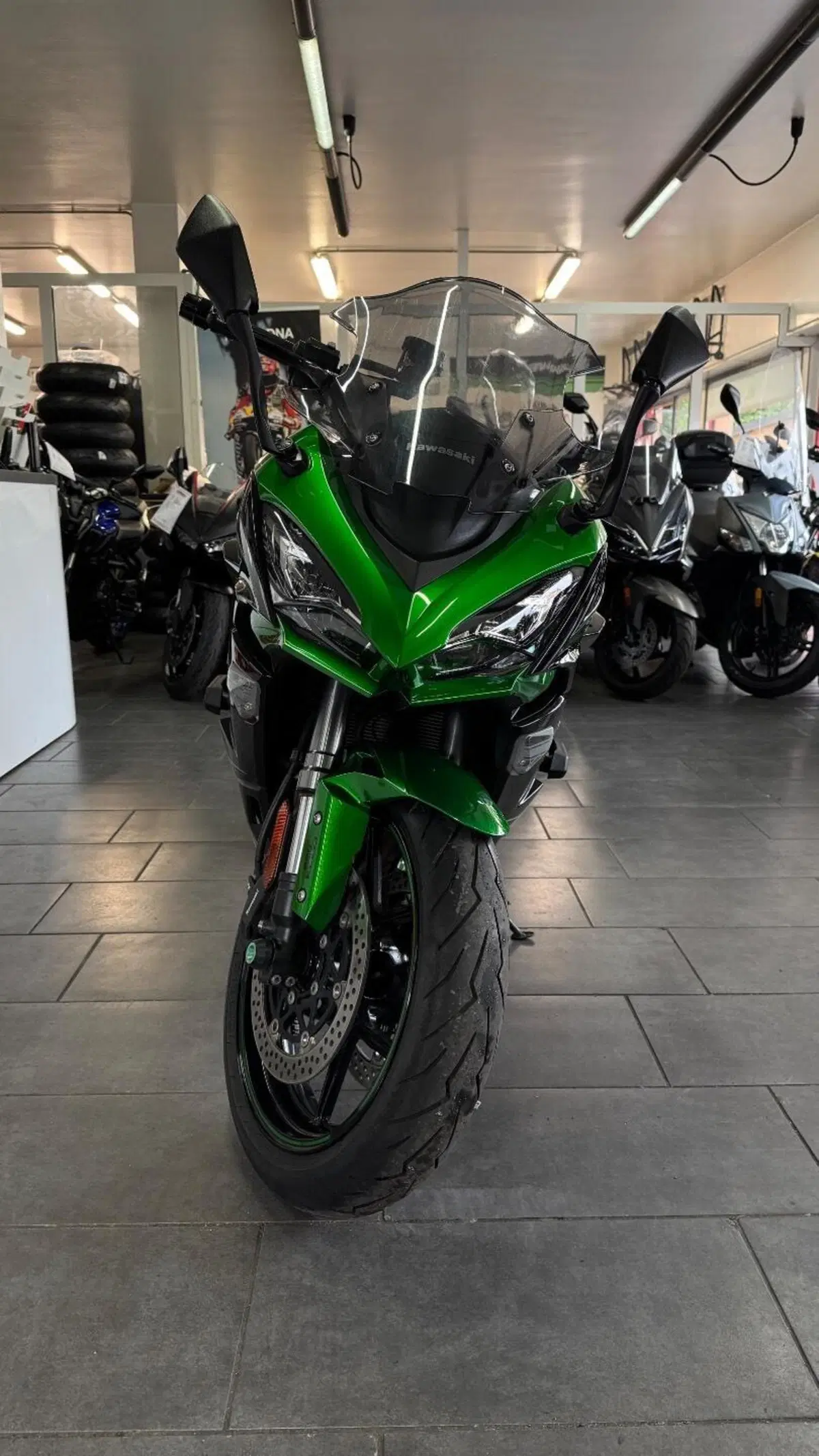 Kawasaki Ninja 1000 SX Tourer (2021 - 24) (3)