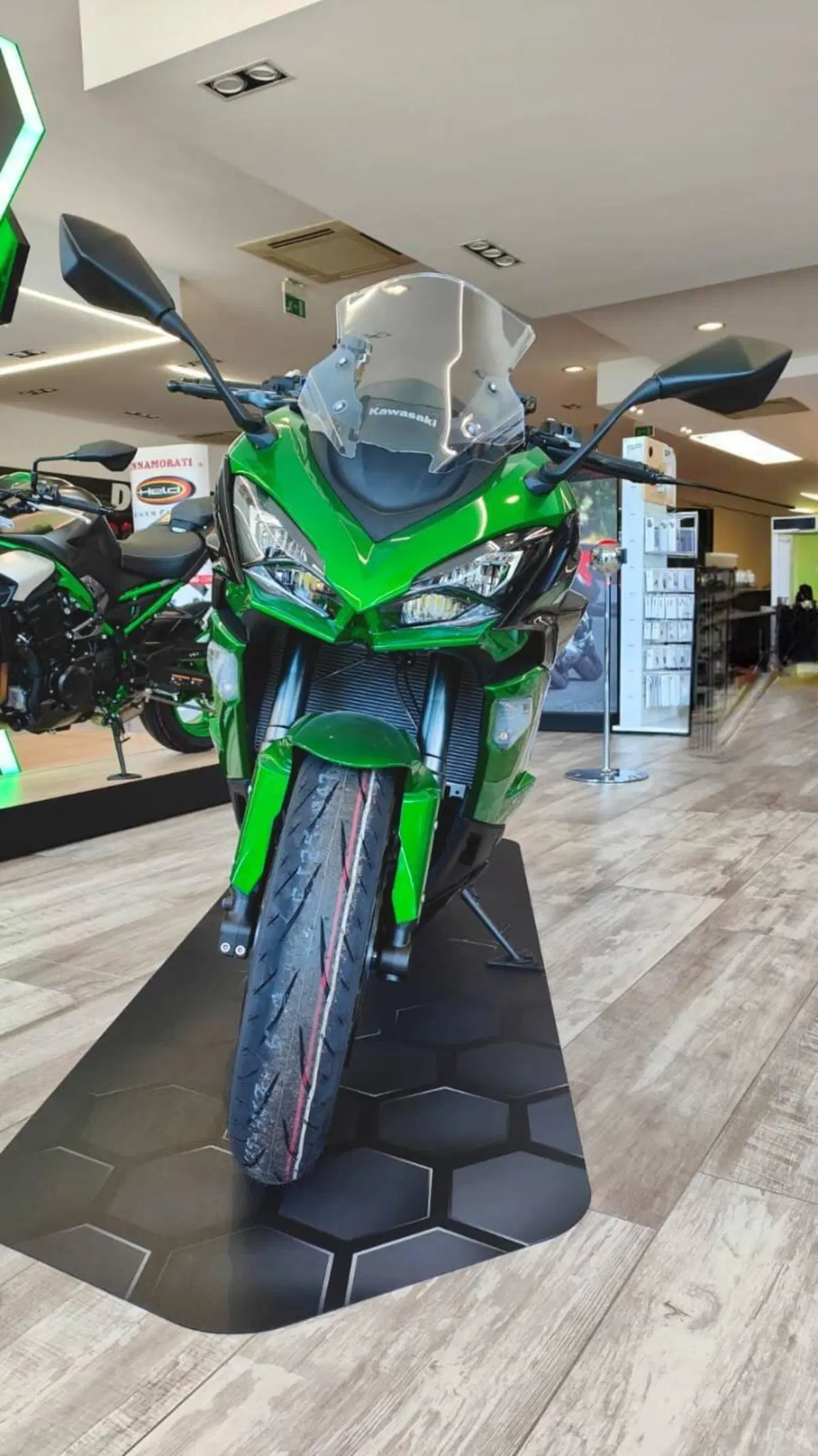 Kawasaki Ninja 1100 SX SE (2025 - 26) (5)
