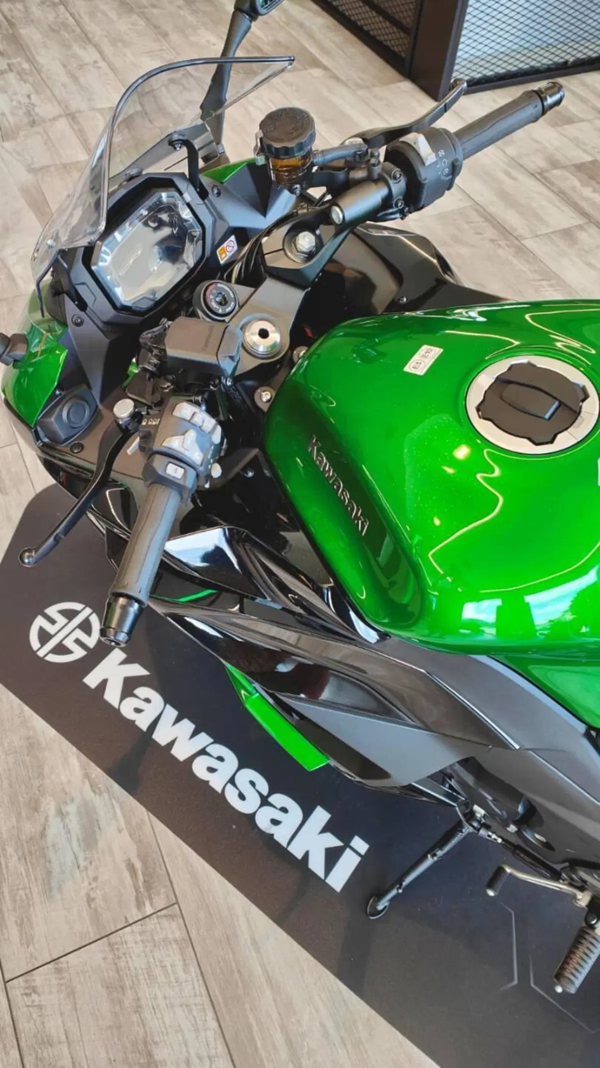 Kawasaki Ninja 1100 SX SE (2025 - 26) (7)