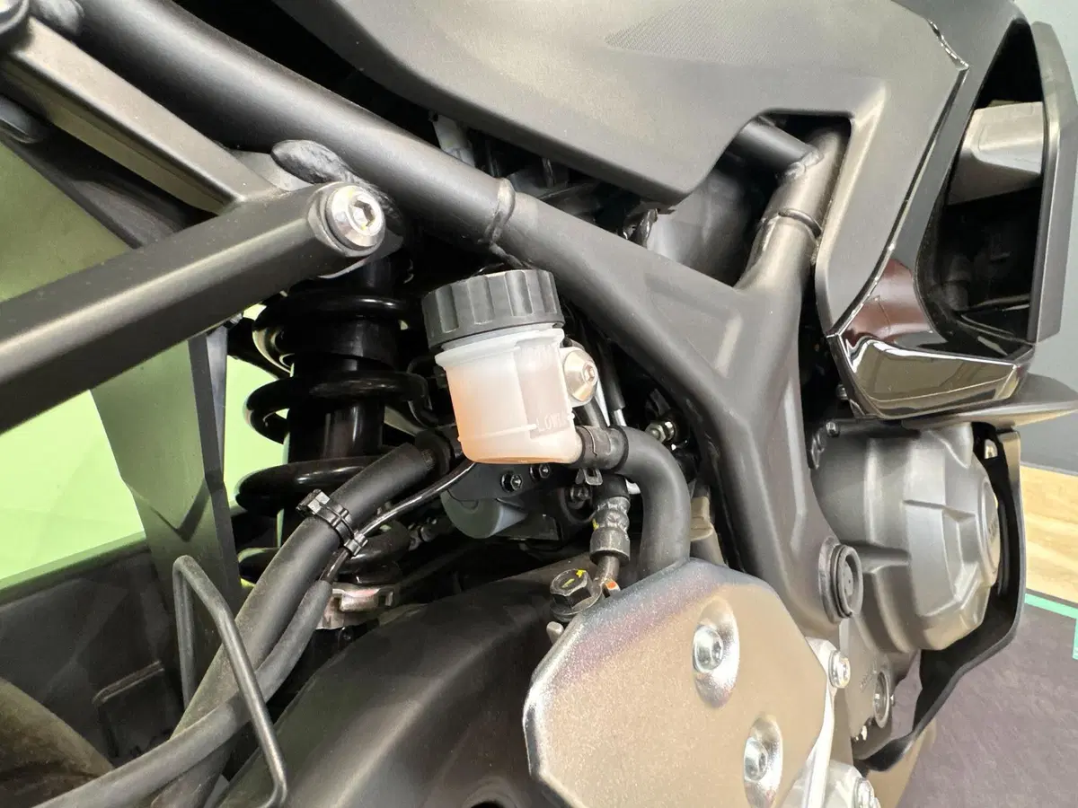 Yamaha YZF R3 (2025 - 26) (16)