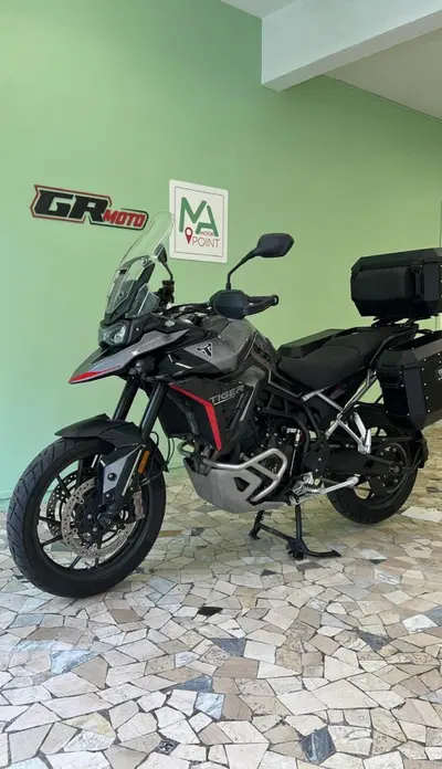 Triumph Tiger 900 GT Pro (2024 - 26) usata