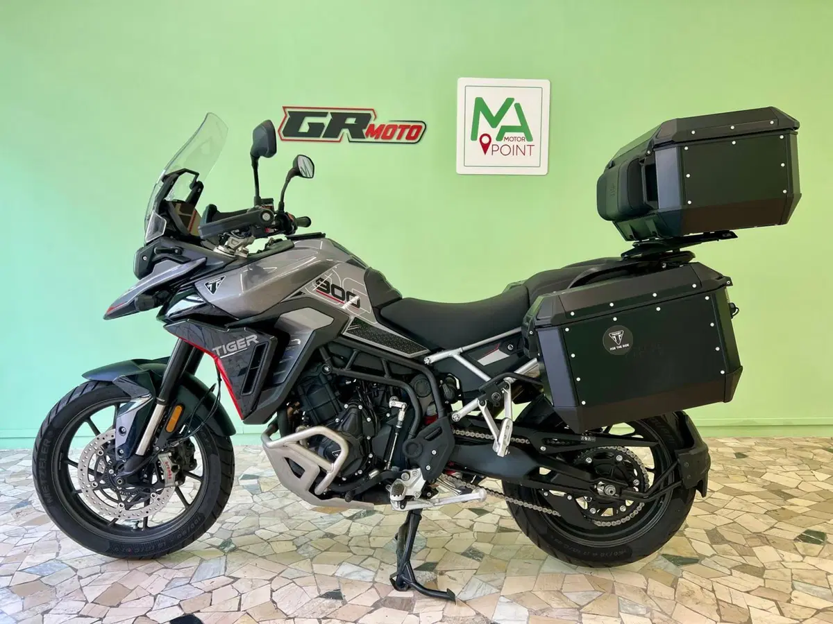 Triumph Tiger 900 GT Pro (2024 - 26) (2)