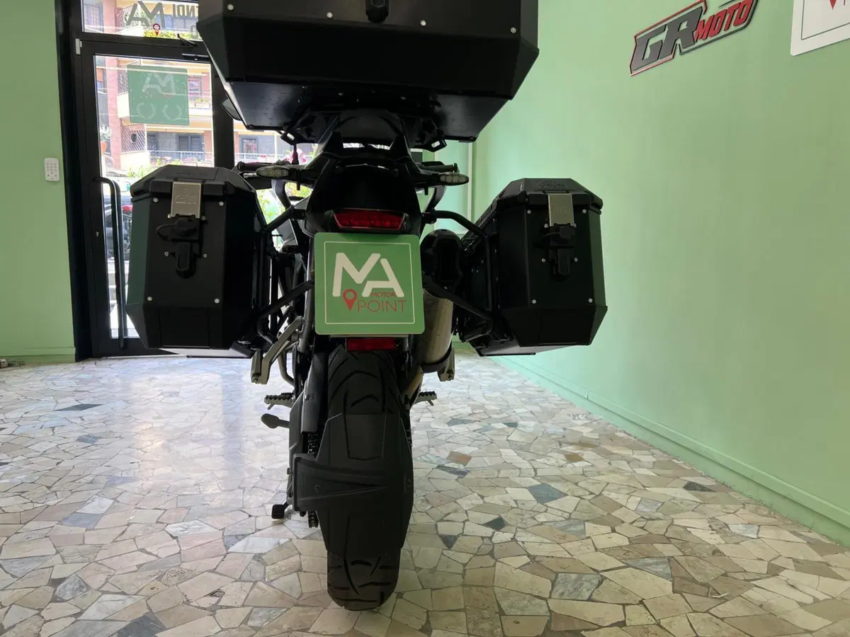 Triumph Tiger 900 GT Pro (2024 - 26) (6)