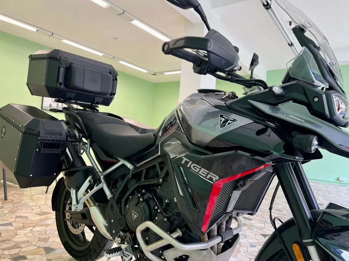 Triumph Tiger 900 GT Pro (2024 - 26) (9)