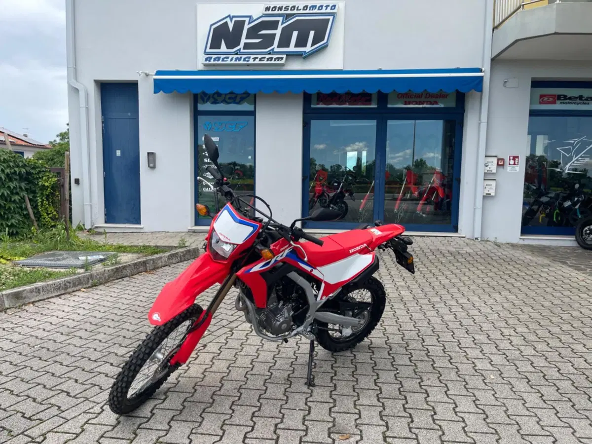 Honda CRF 300L (2021 - 24)