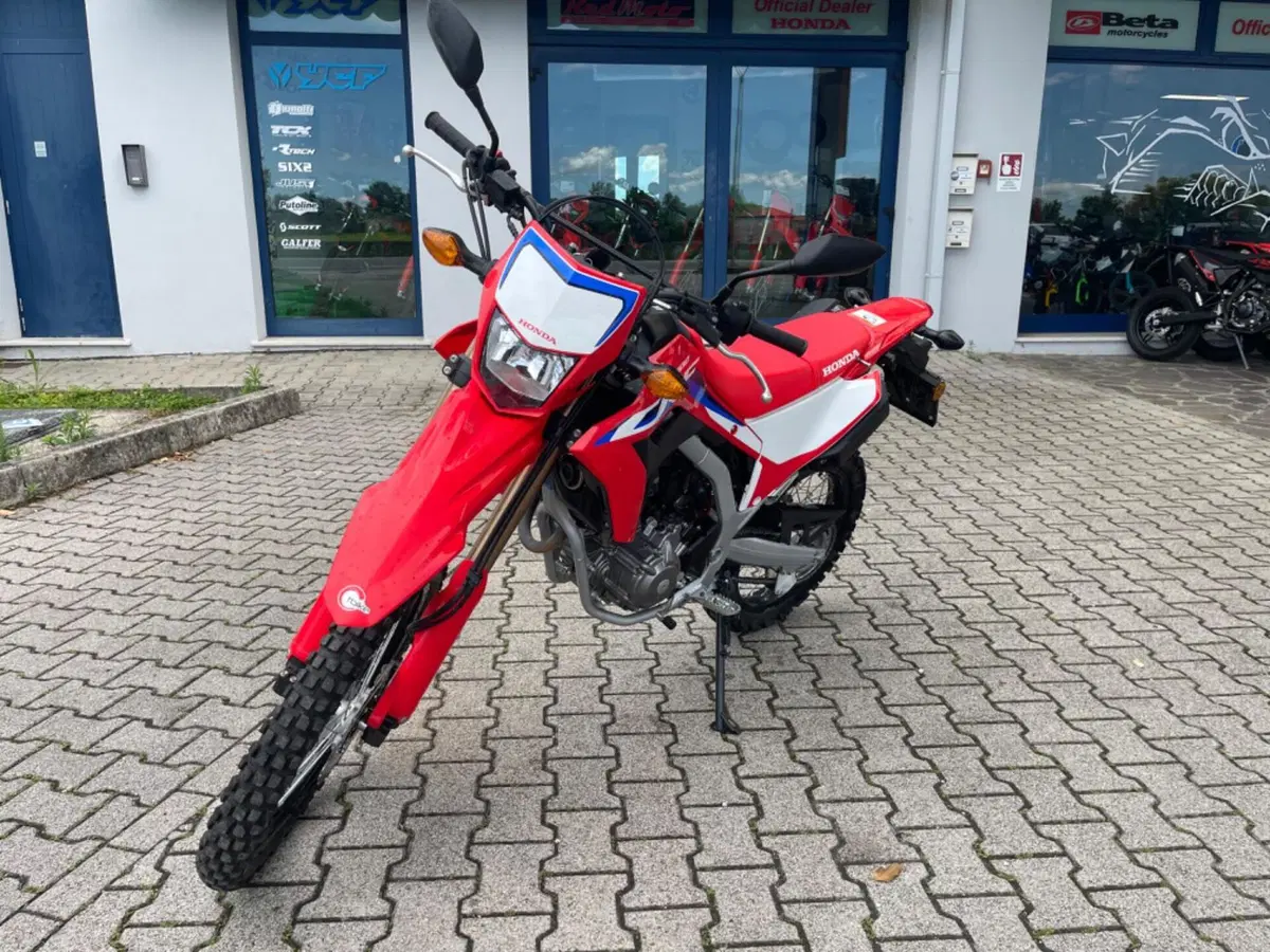 Honda CRF 300L (2021 - 24) (6)