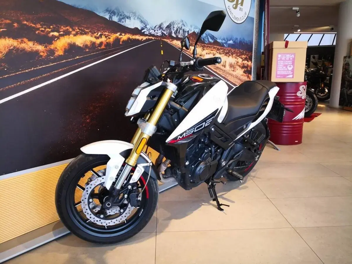 Morbidelli M502N (2024 - 26) (9)