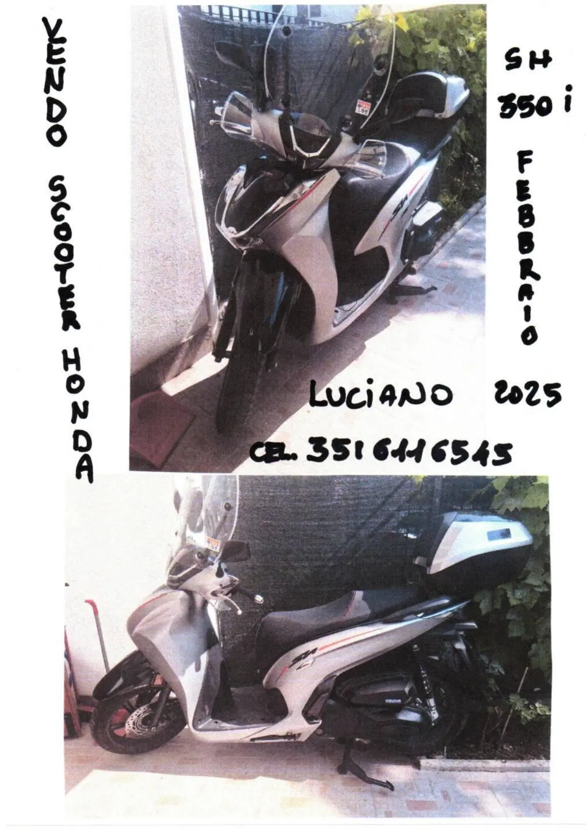 Honda SH 350i Sport (2025 - 26)