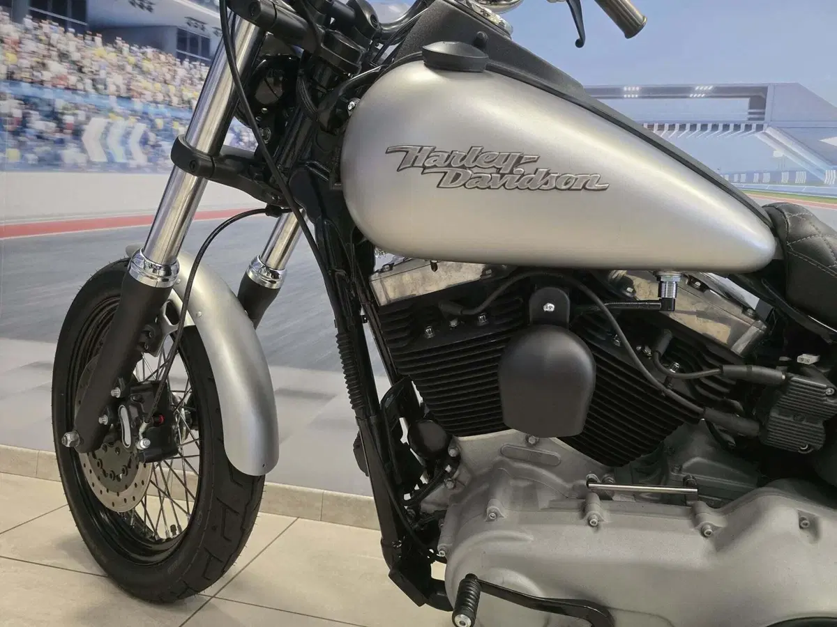 Harley-Davidson 1584 Street Bob (2008 - 15) - FXDB (10)