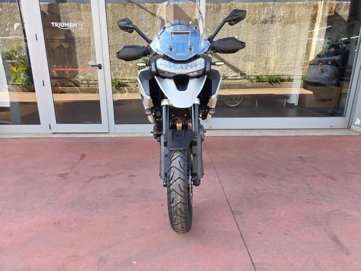 Triumph Tiger 1200 Alpine Special Edition (2026) (10)