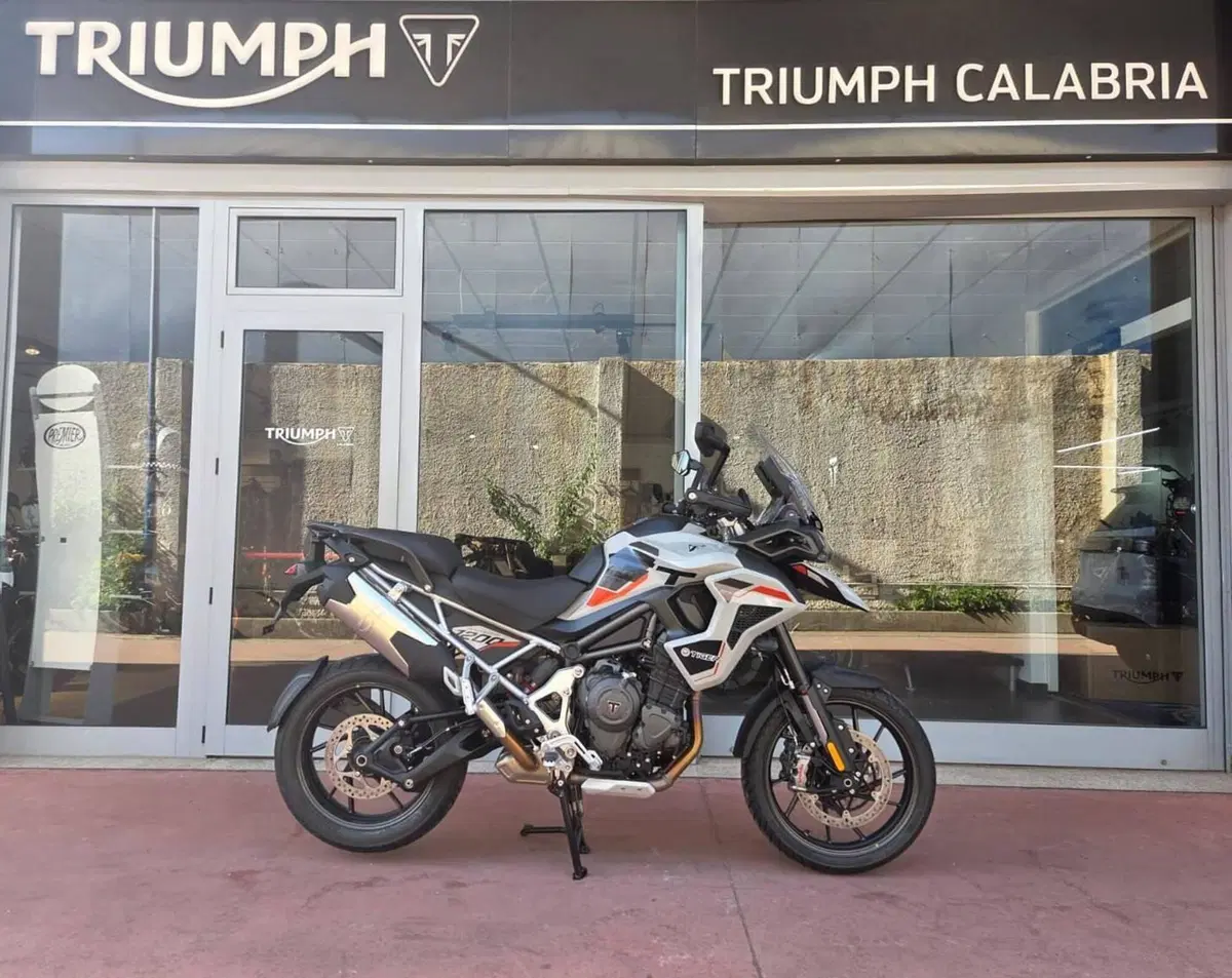 Triumph Tiger 1200 Alpine Special Edition (2026) (2)