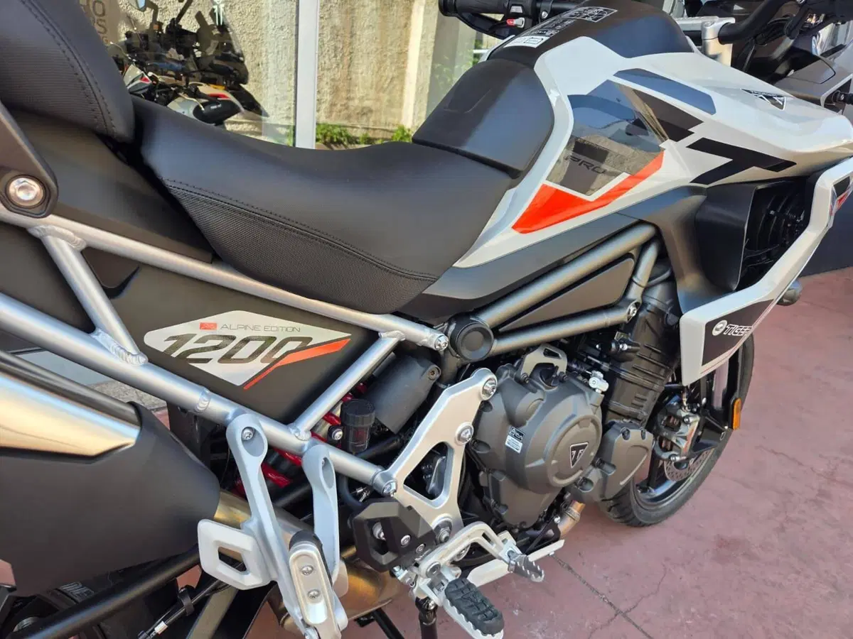 Triumph Tiger 1200 Alpine Special Edition (2026) (5)