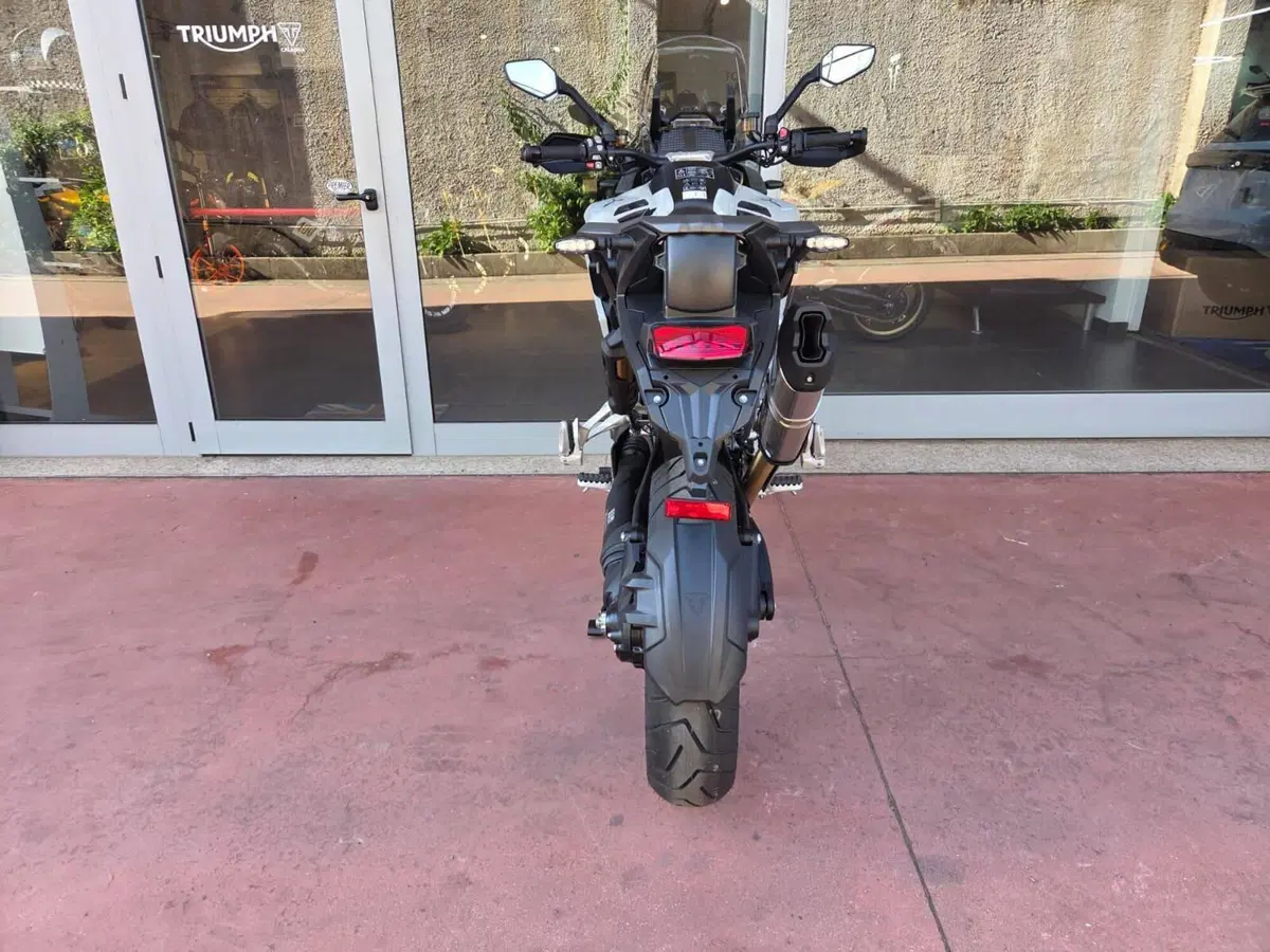 Triumph Tiger 1200 Alpine Special Edition (2026) (11)