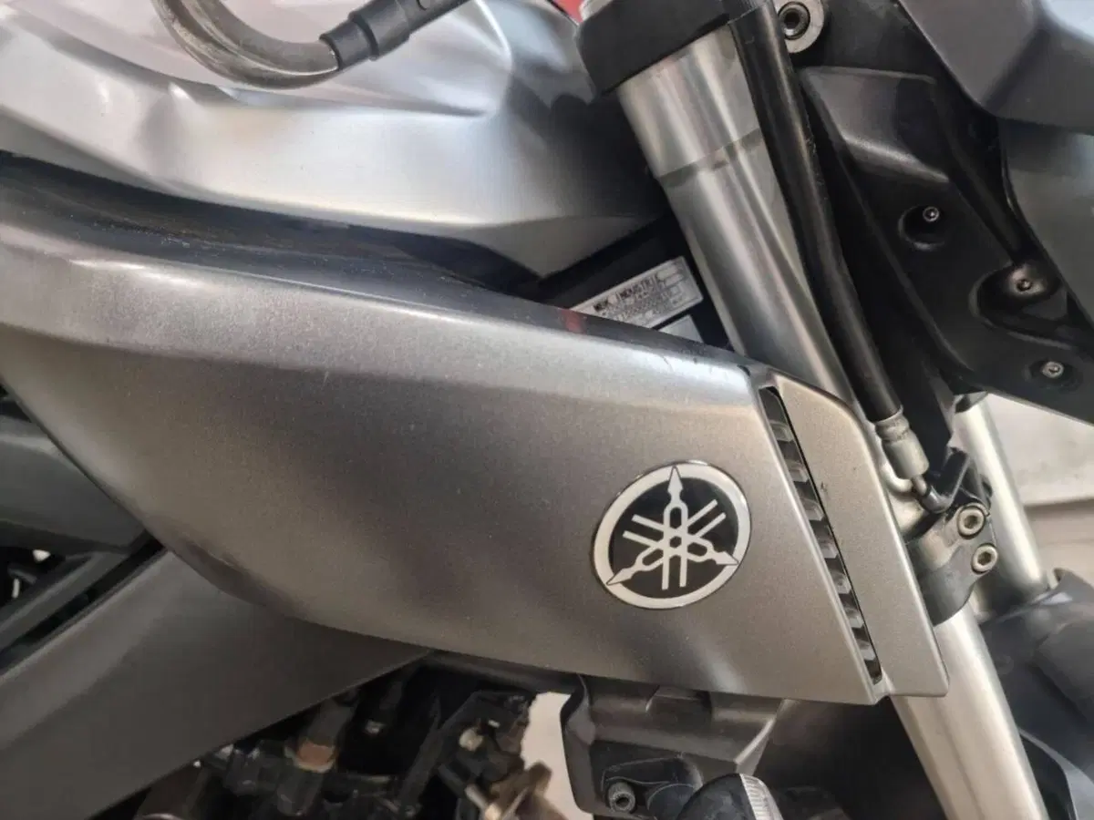 Yamaha MT-125 ABS (2015 - 16) (6)