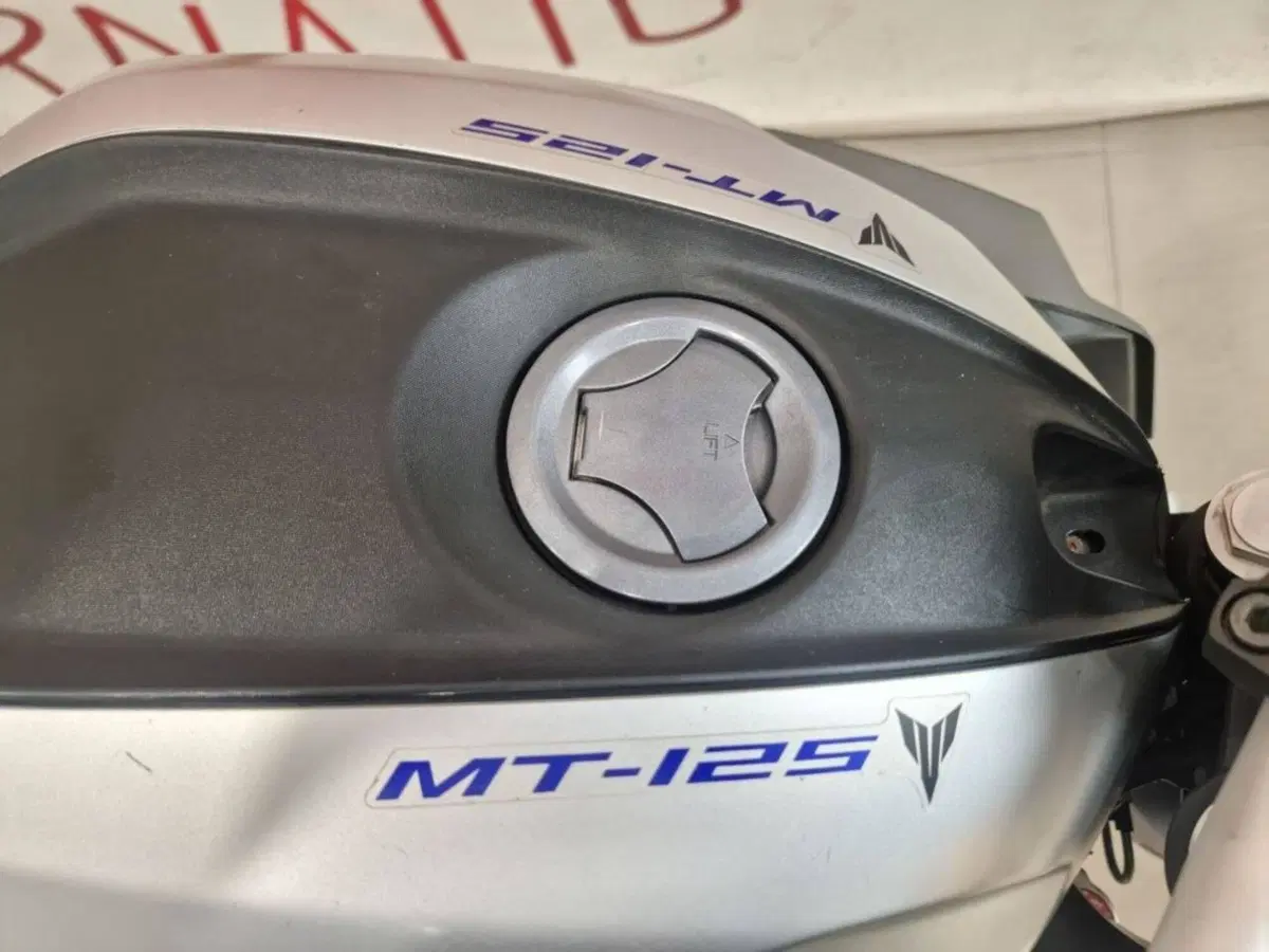 Yamaha MT-125 ABS (2015 - 16) (7)