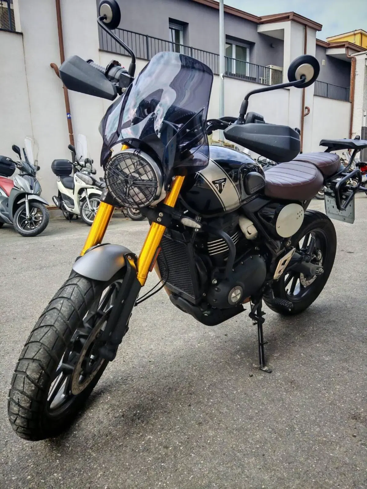Triumph Scrambler 400 X (2024 - 26) (6)