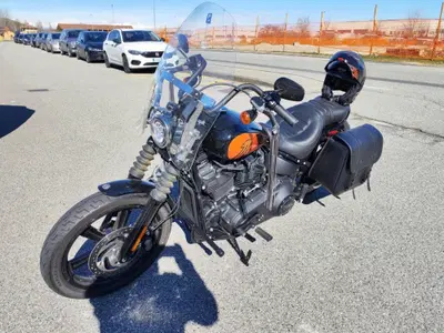 Harley-Davidson Street Bob 114 (2021 - 24) usata