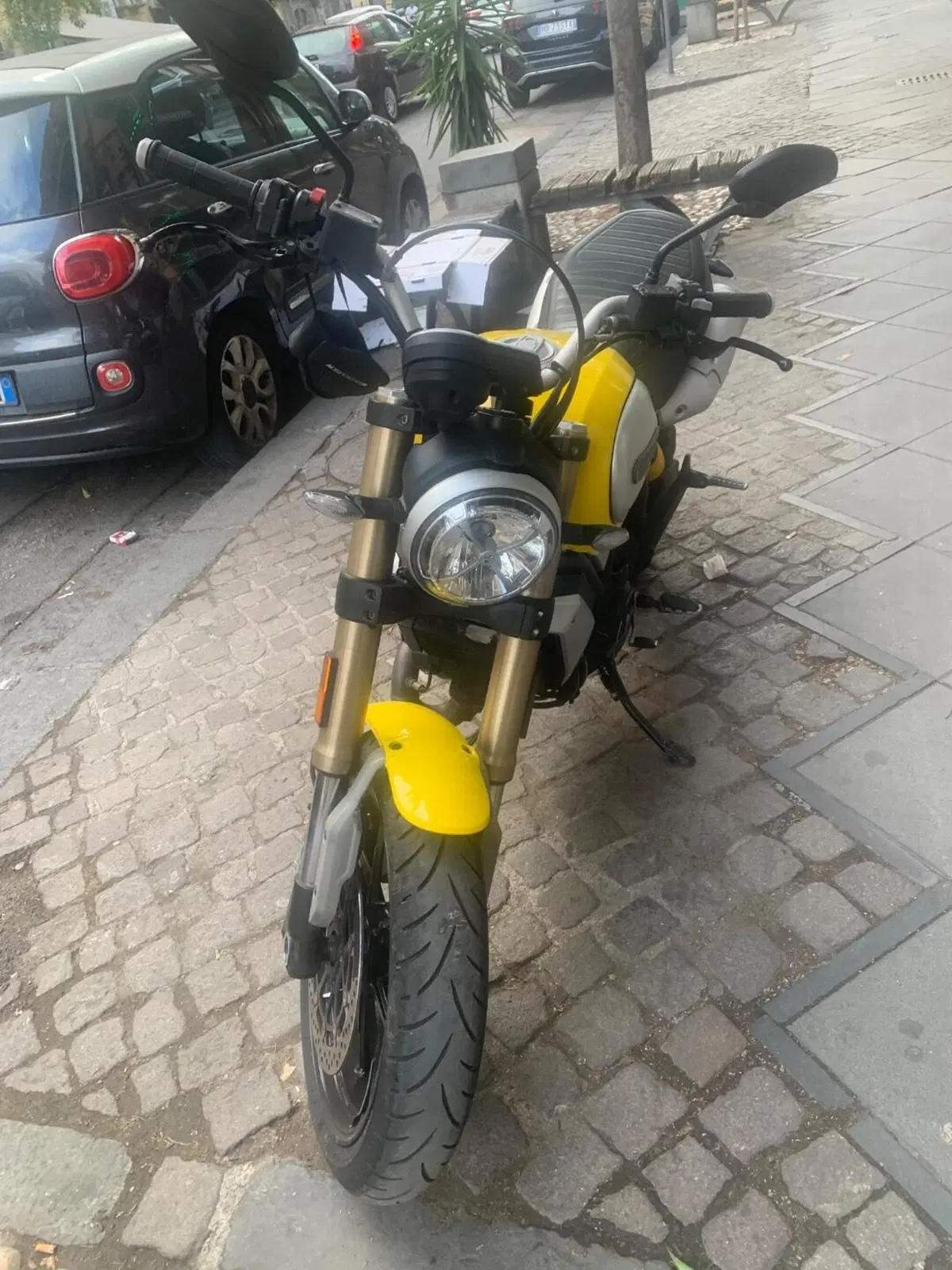 Ducati Scrambler 1100 (2018 - 20) (2)