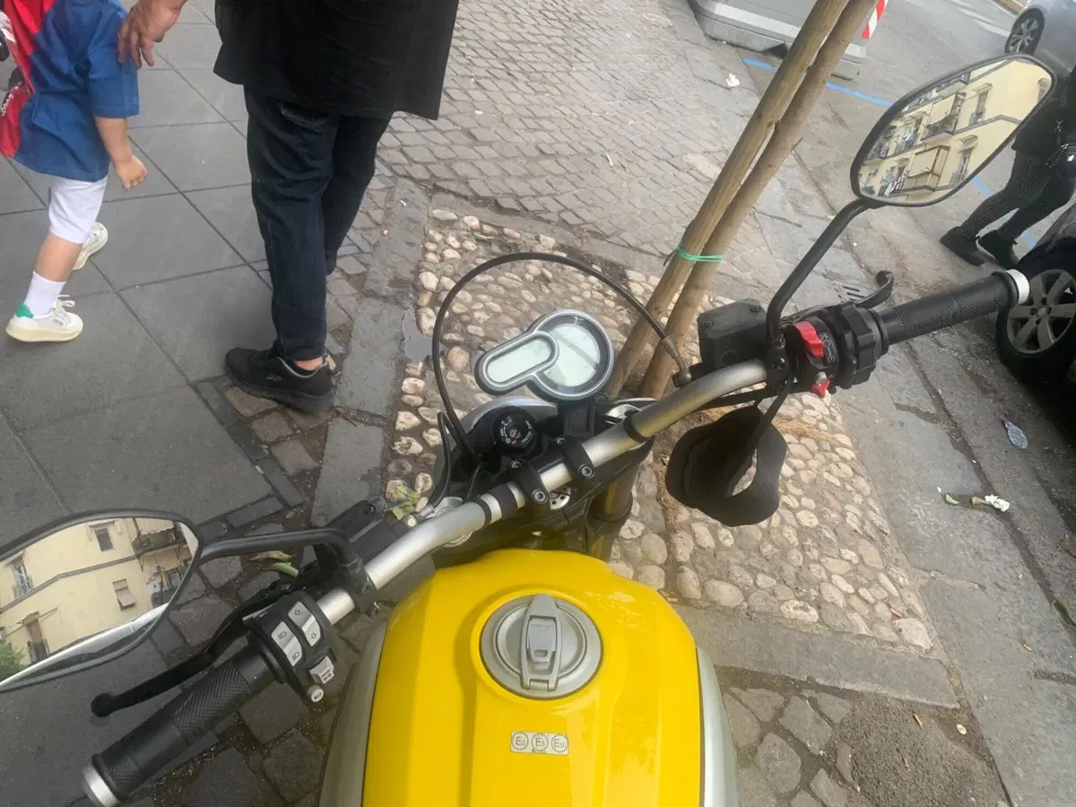 Ducati Scrambler 1100 (2018 - 20) (3)