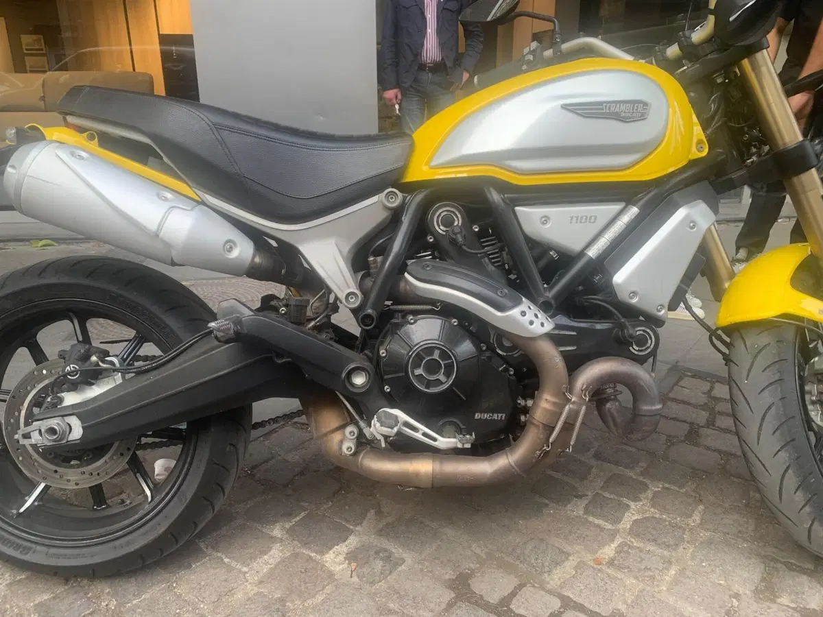 Ducati Scrambler 1100 (2018 - 20) (4)