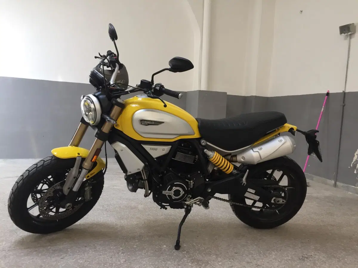 Ducati Scrambler 1100 (2018 - 20) (9)
