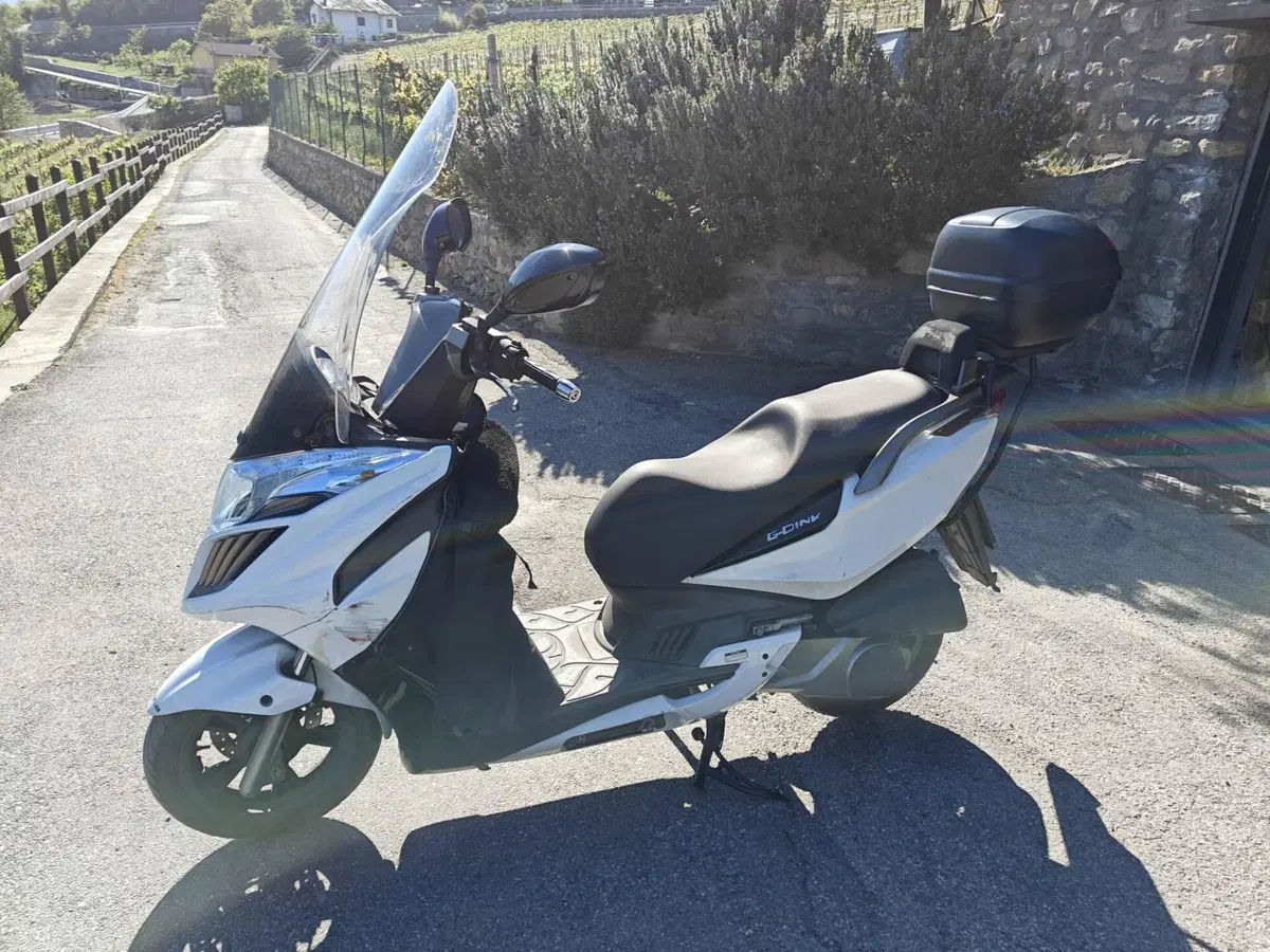 Kymco G-Dink 300i (2011 - 17) (2)