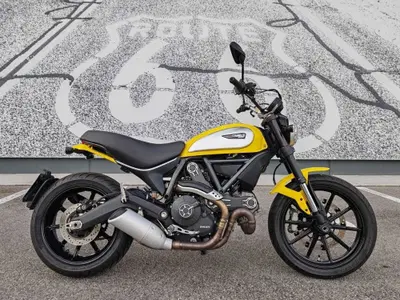 Ducati Scrambler 800 Icon (2015 - 16) usata