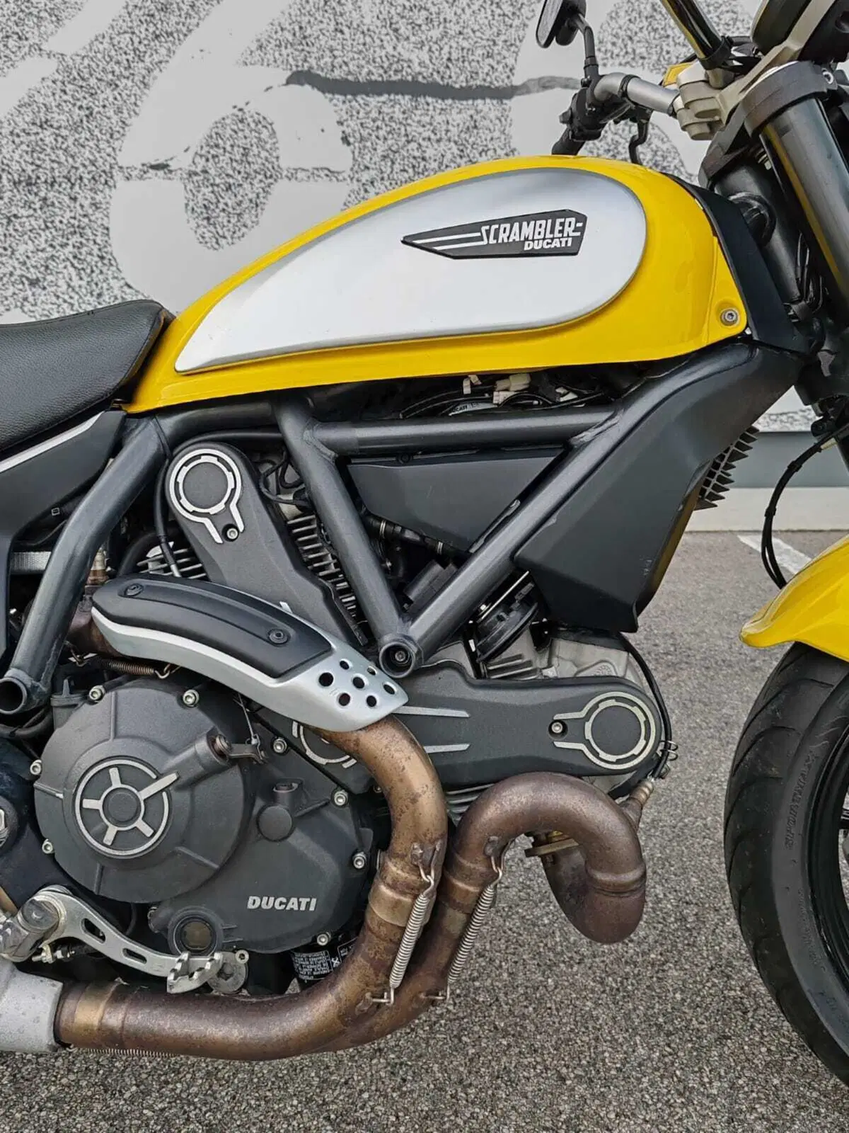 Ducati Scrambler 800 Icon (2015 - 16) (5)