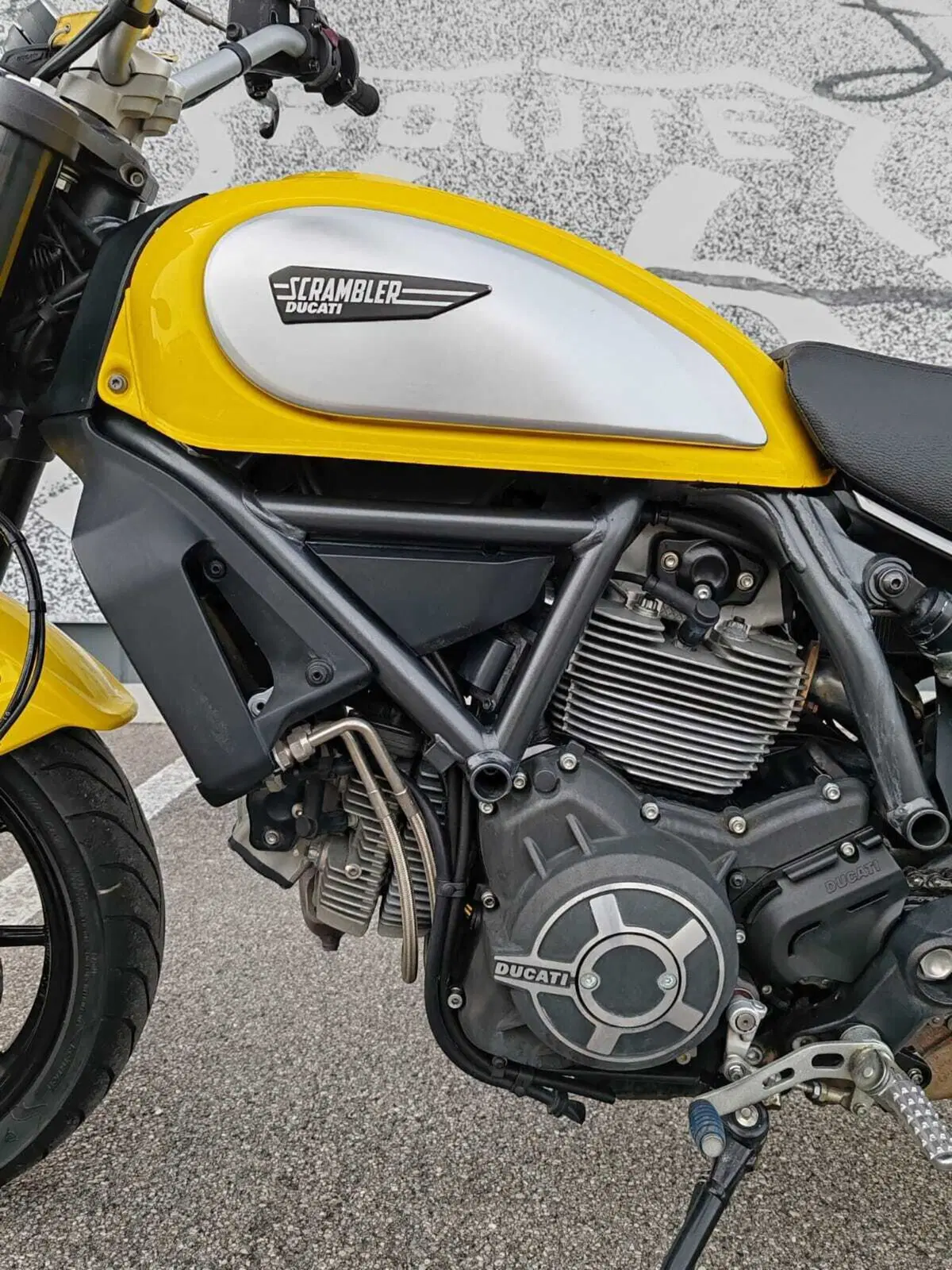 Ducati Scrambler 800 Icon (2015 - 16) (6)