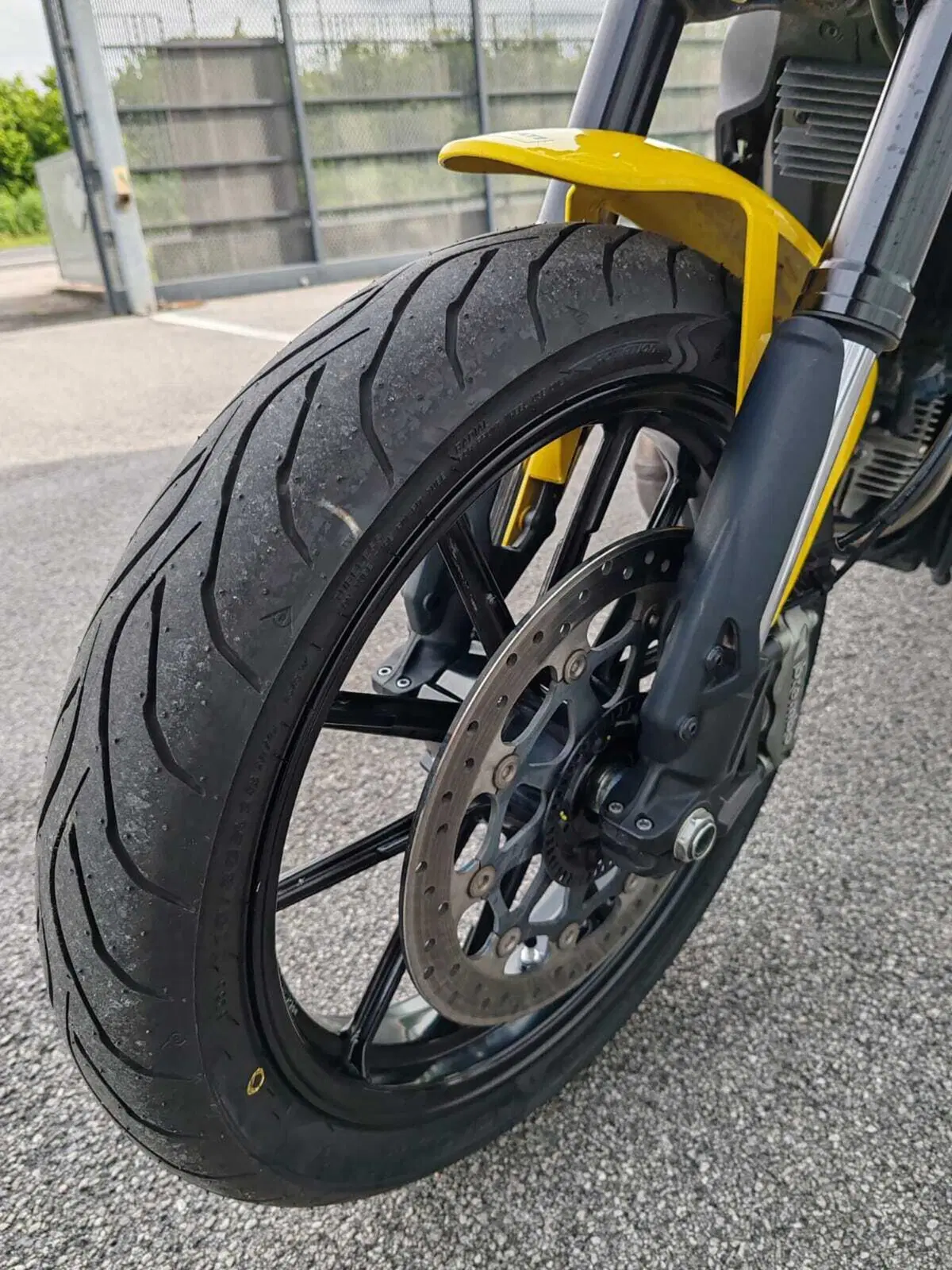 Ducati Scrambler 800 Icon (2015 - 16) (7)