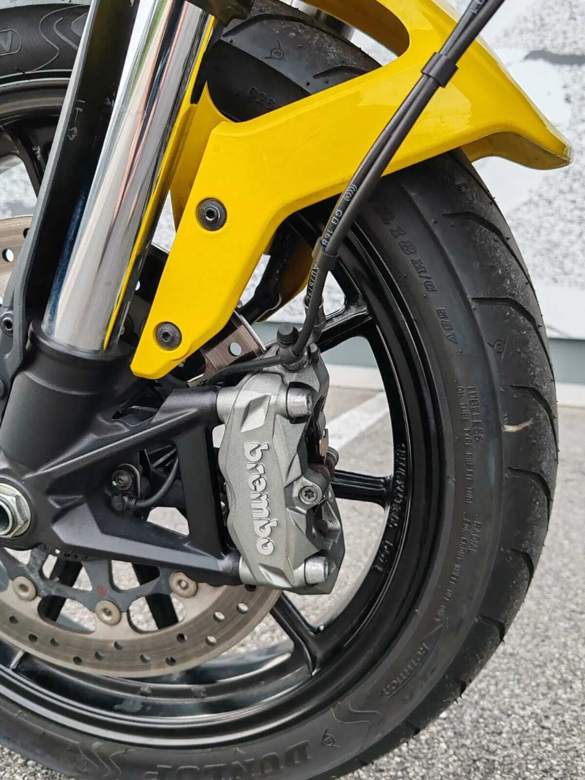 Ducati Scrambler 800 Icon (2015 - 16) (8)