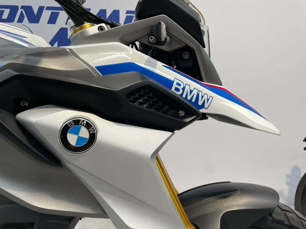 Bmw G 310 GS (2017 - 20) (10)