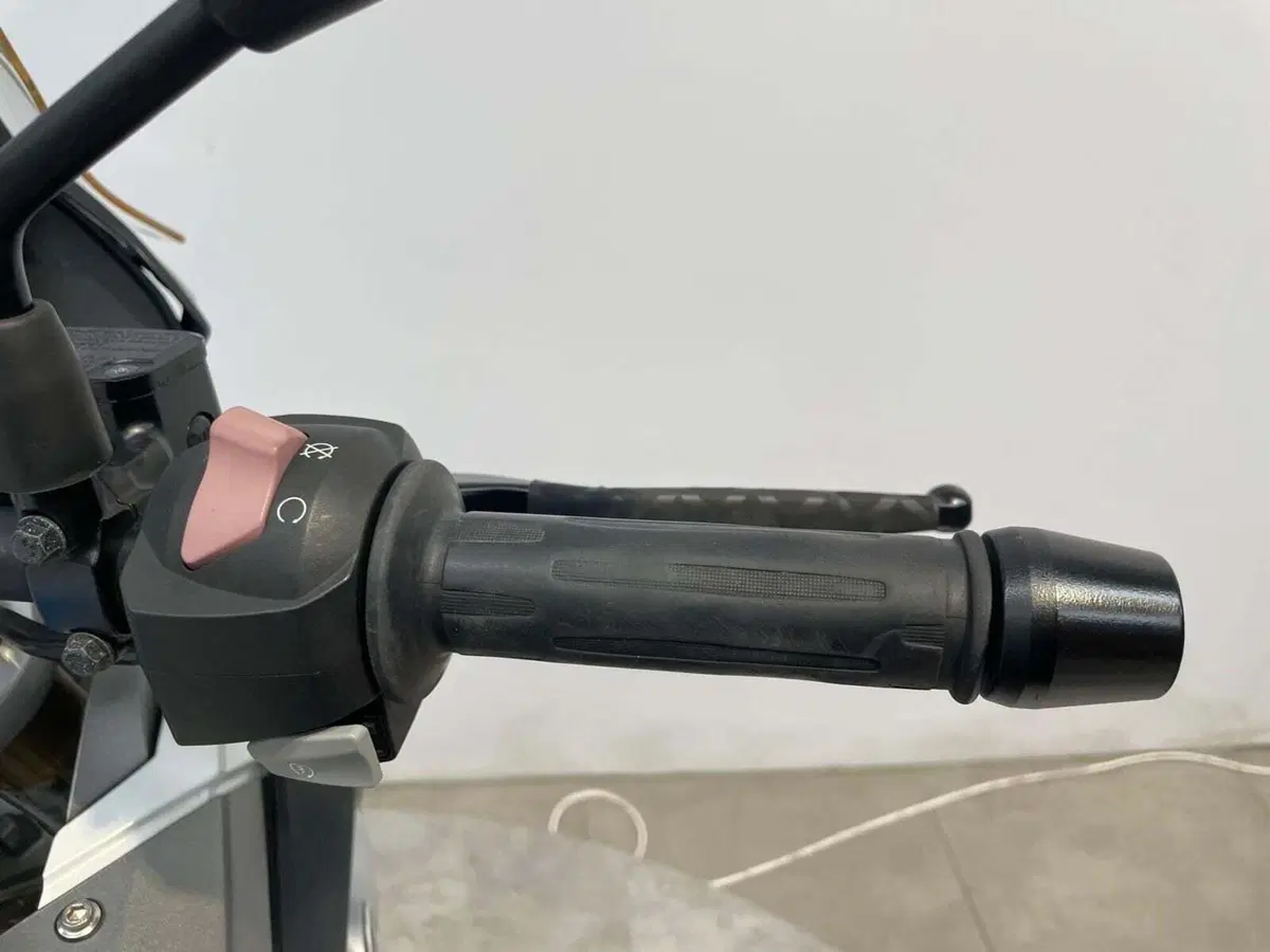 Bmw G 310 GS (2017 - 20) (11)