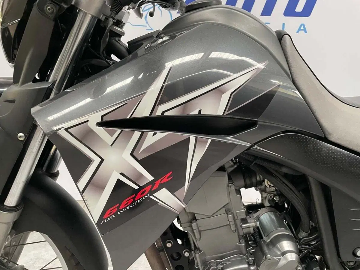 Yamaha XT 660 R (2004 - 16) (6)