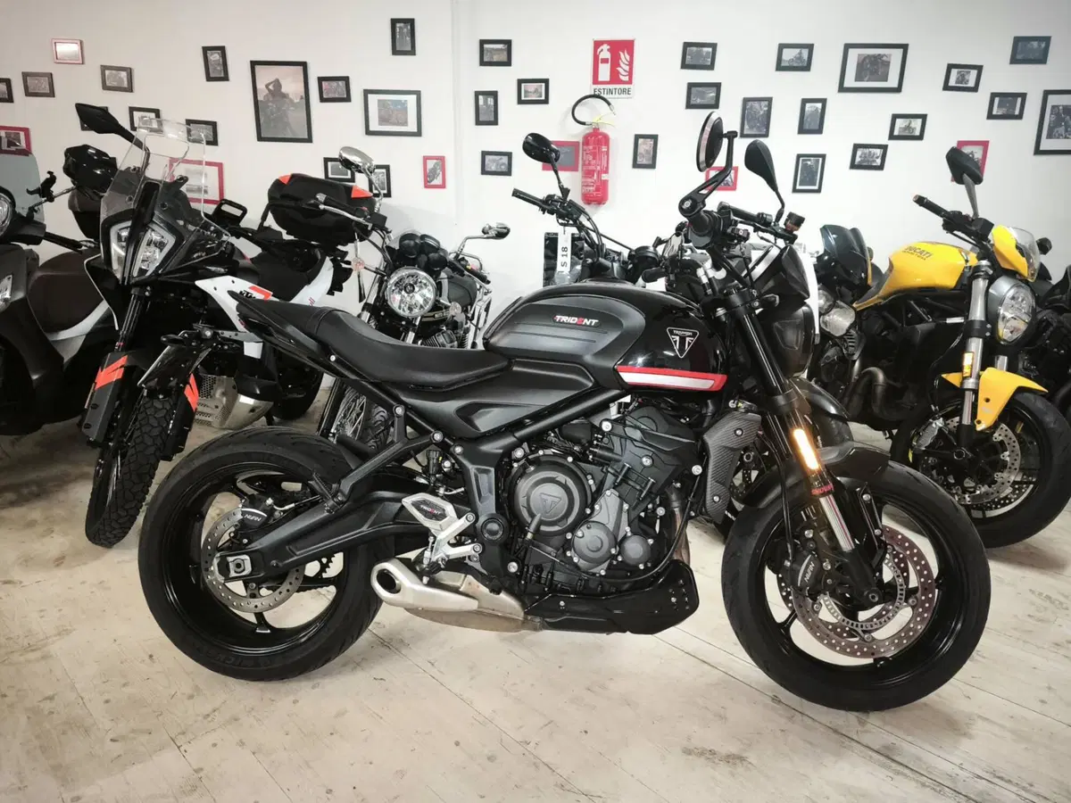 Triumph Trident 660 (2021 - 24)
