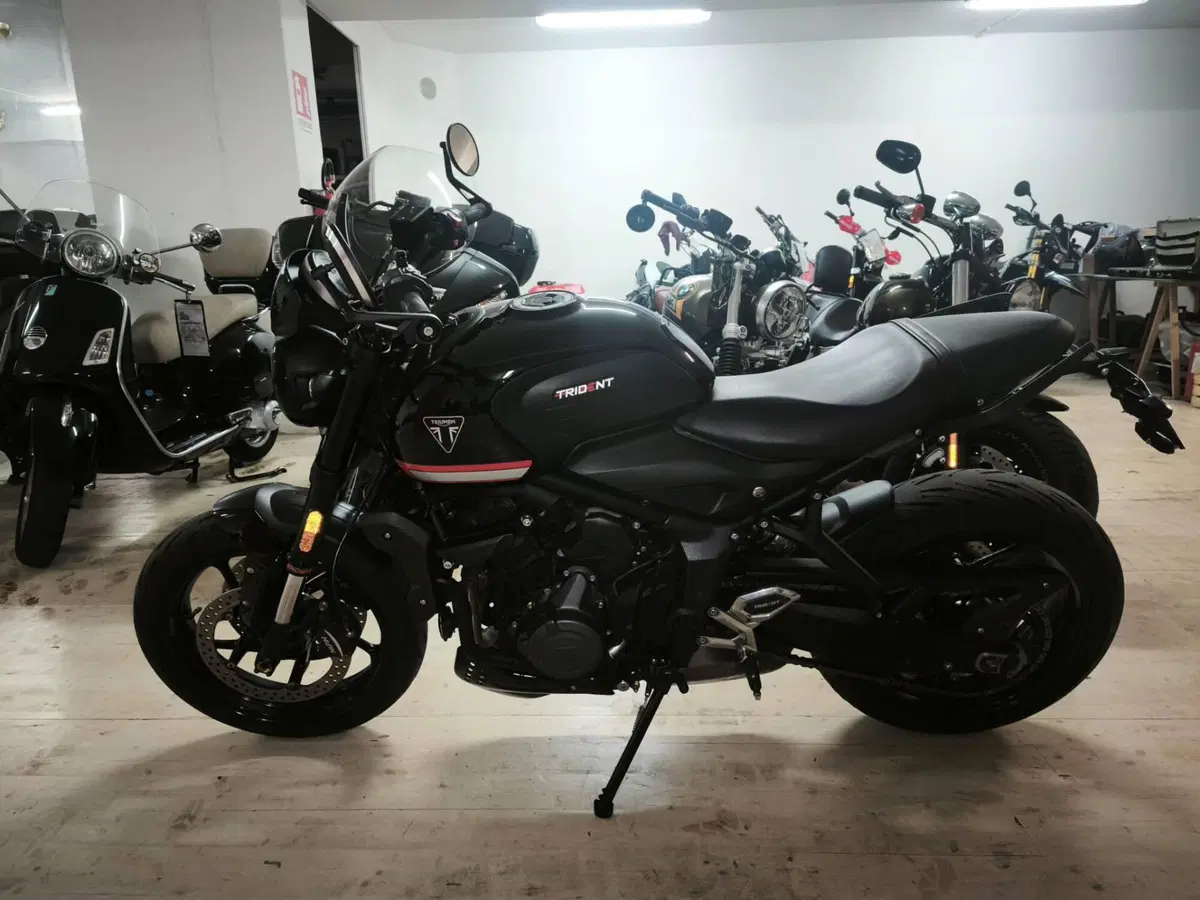 Triumph Trident 660 (2021 - 24) (4)