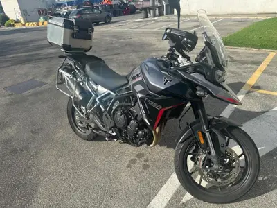 Triumph Tiger 900 GT Pro (2024 - 26) usata