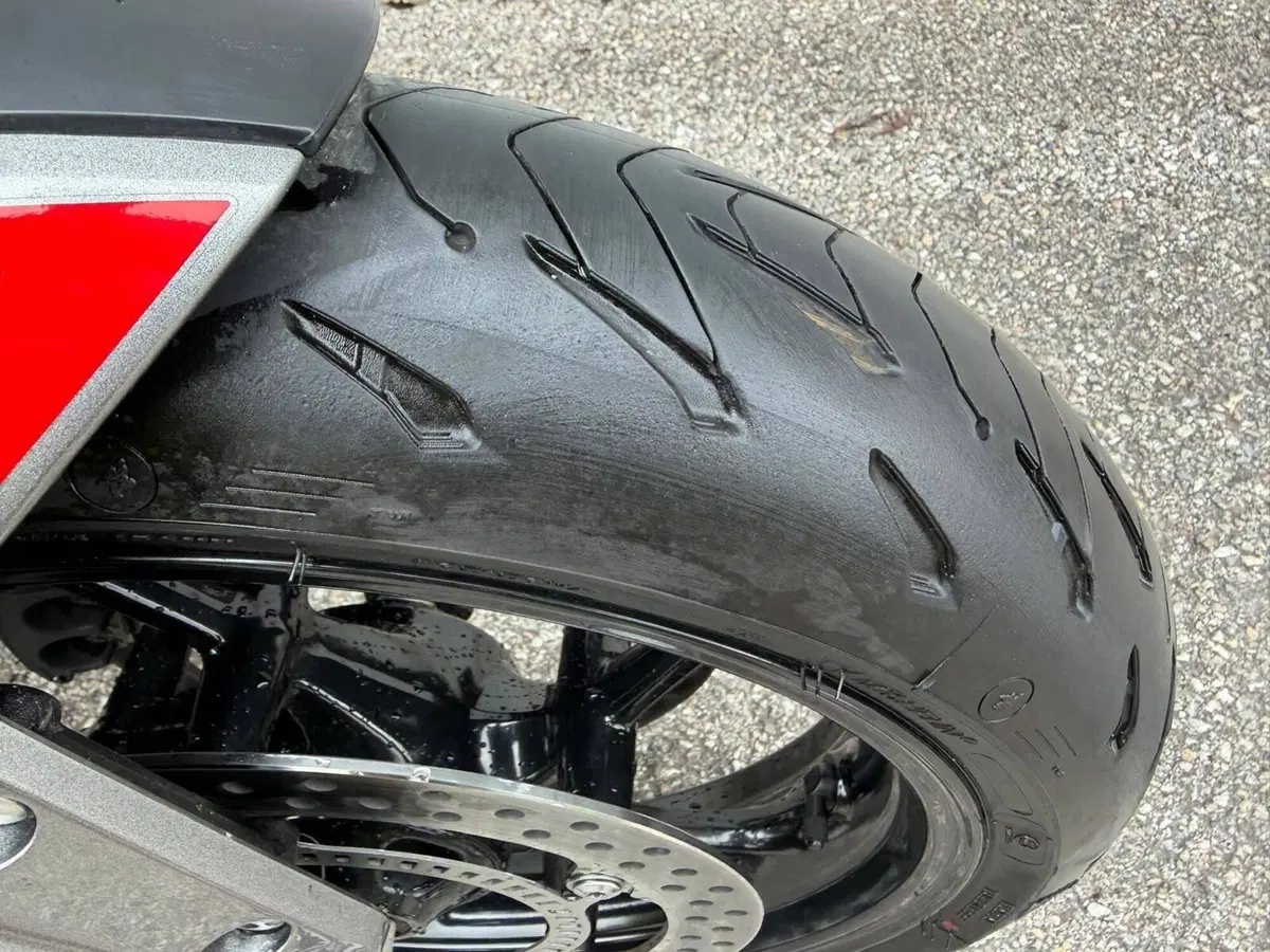 Triumph Trident 660 (2021 - 24) (6)
