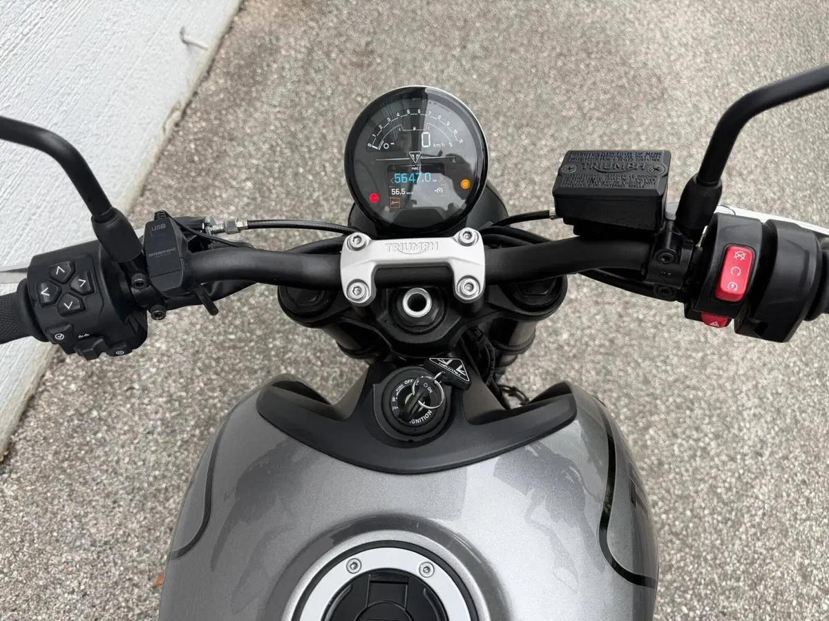 Triumph Trident 660 (2021 - 24) (8)