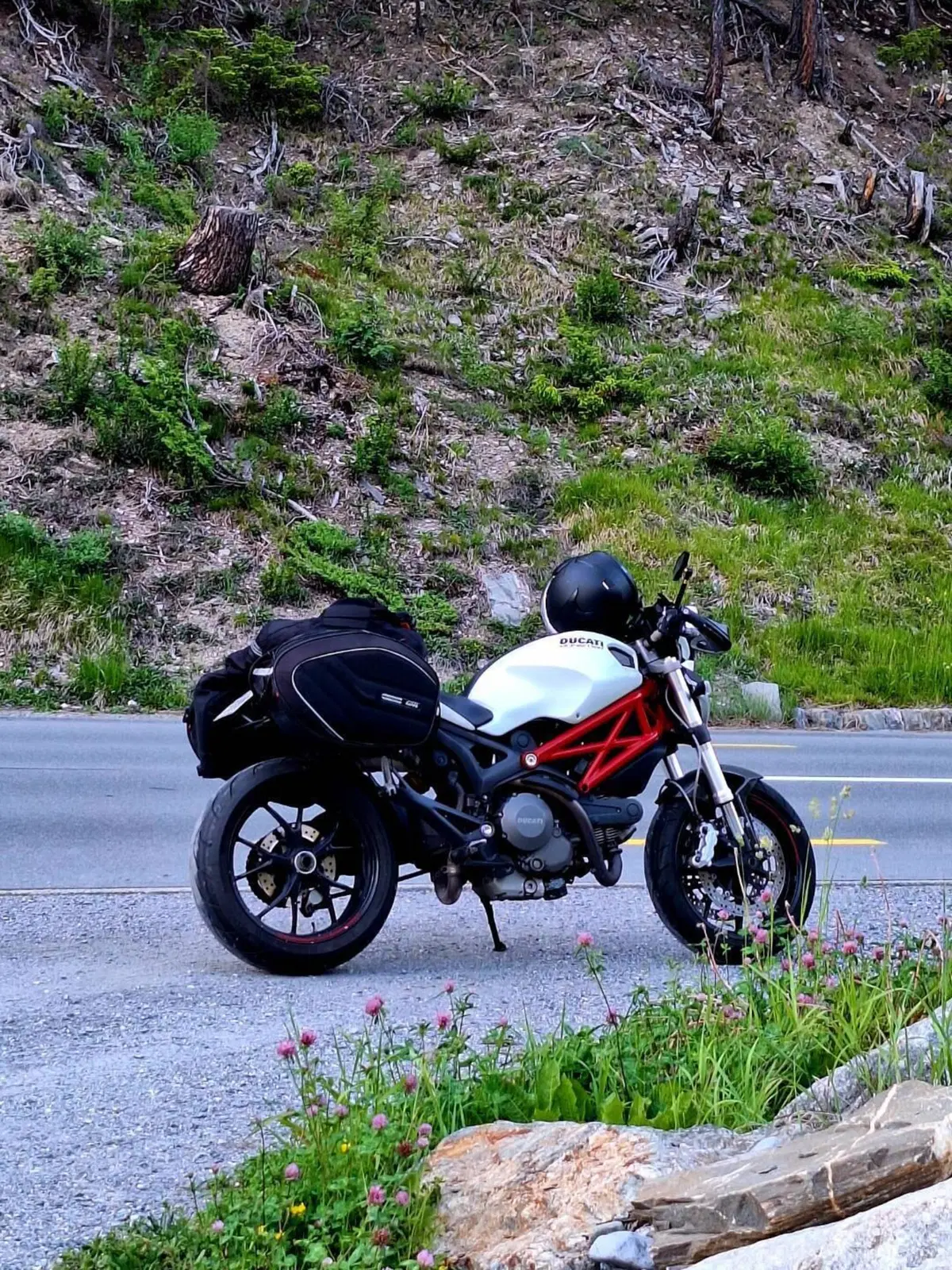 Ducati Monster 796 (2010 - 13) (2)