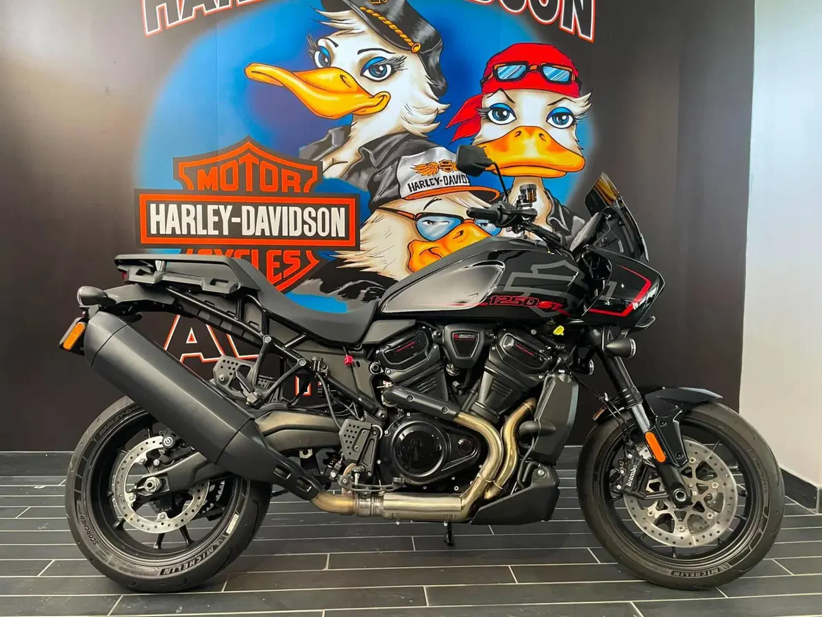 Harley-Davidson Pan America 1250 ST (2025 - 26) (4)