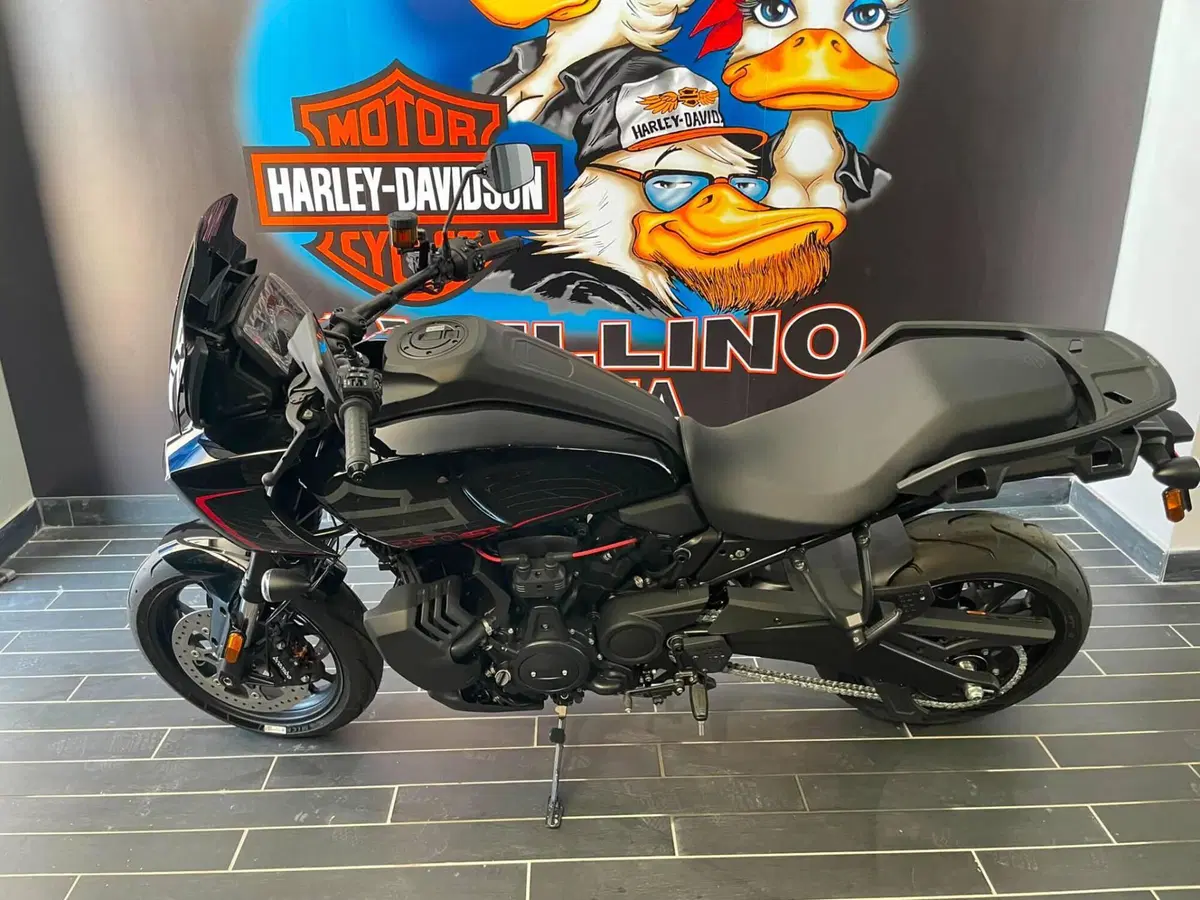 Harley-Davidson Pan America 1250 ST (2025 - 26) (5)