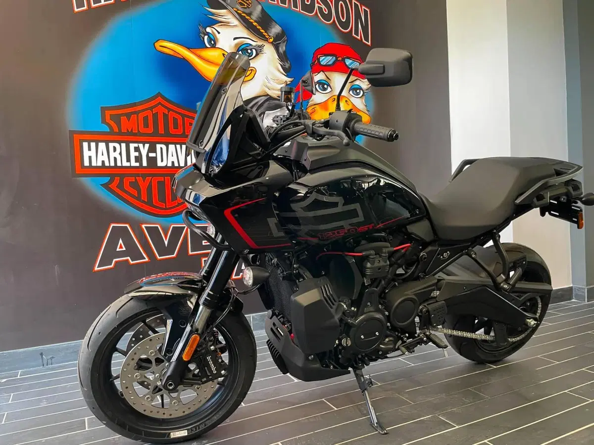 Harley-Davidson Pan America 1250 ST (2025 - 26) (6)