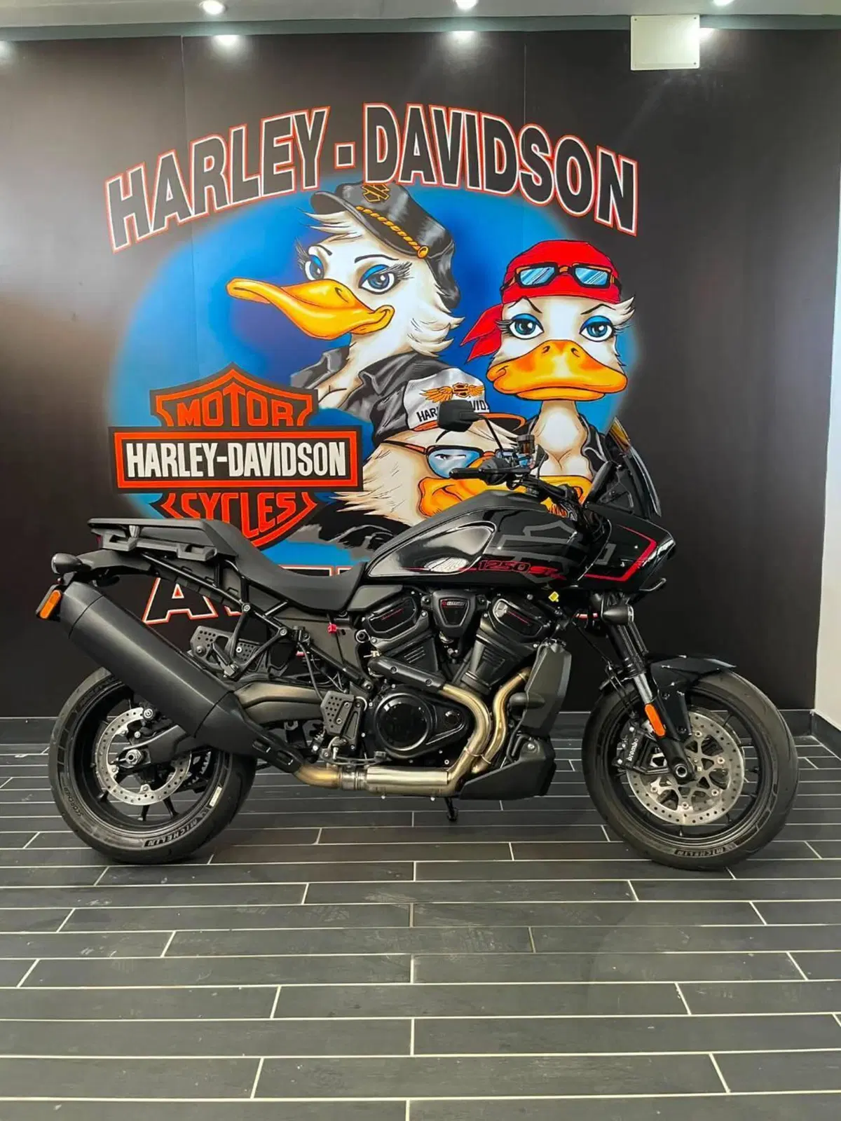 Harley-Davidson Pan America 1250 ST (2025 - 26)