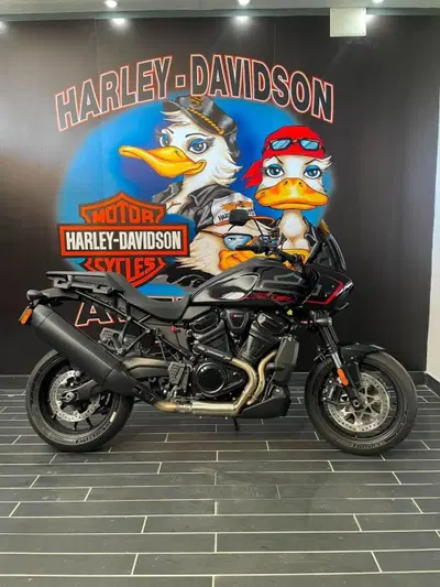 Harley-Davidson Pan America 1250 ST (2025 - 26) nuova