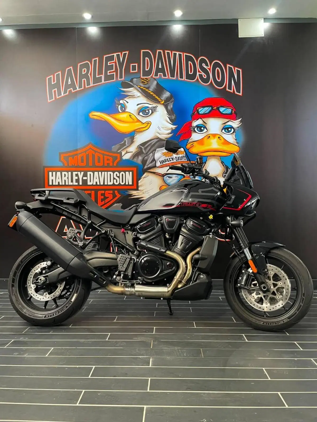 Harley-Davidson Pan America 1250 ST (2025 - 26) (8)