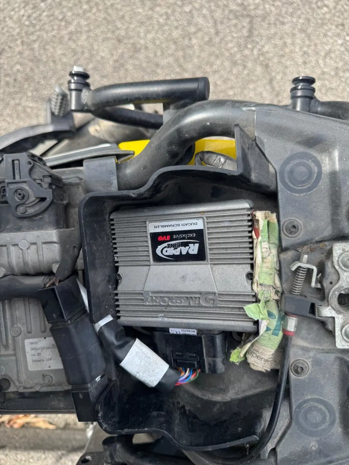 Ducati Scrambler 800 Icon (2015 - 16) (2)