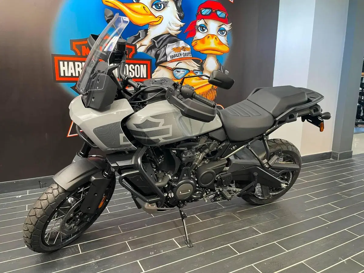 Harley-Davidson Pan America 1250 Special (2020 - 25) (2)