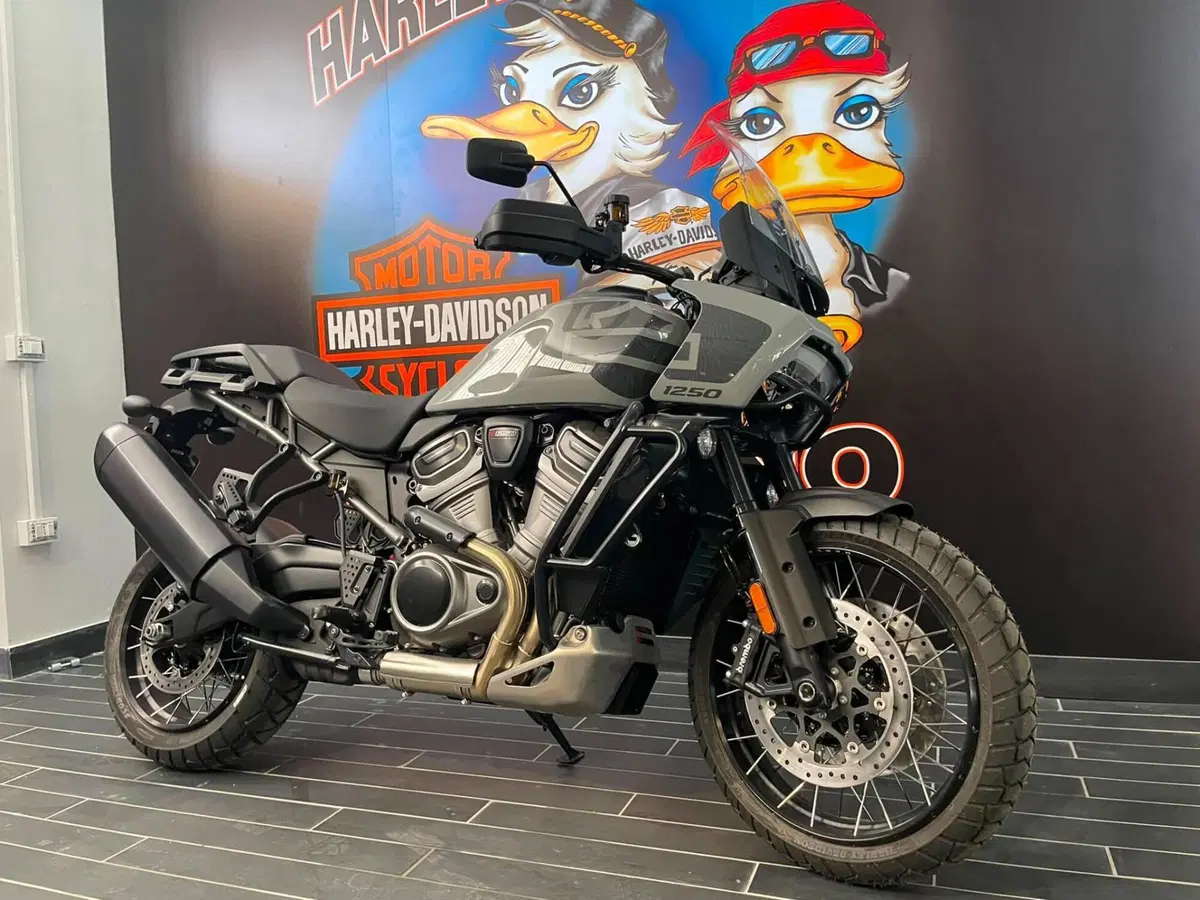 Harley-Davidson Pan America 1250 Special (2020 - 25) (3)